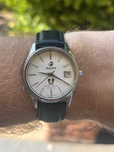 Zaffiro cavallo dorato - , rado